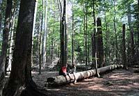 Ferienwohnungen am Nationalpark Bayerischer Wald